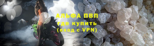 хмурый Гусь-Хрустальный