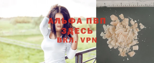 хмурый Гусь-Хрустальный