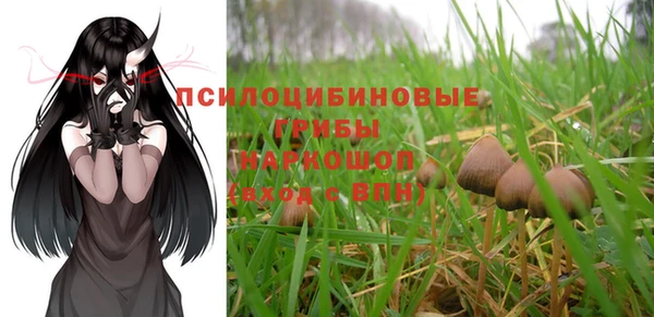 гидропоника Гусев