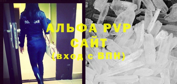 хмурый Гусь-Хрустальный