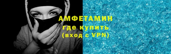 хмурый Гусь-Хрустальный