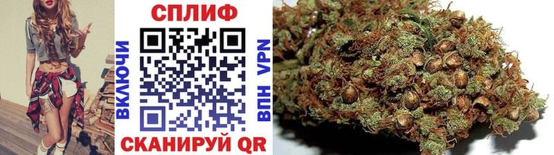 Каннабис Amnesia  darknet состав  Новая Ладога  продажа наркотиков  гидра сайт 